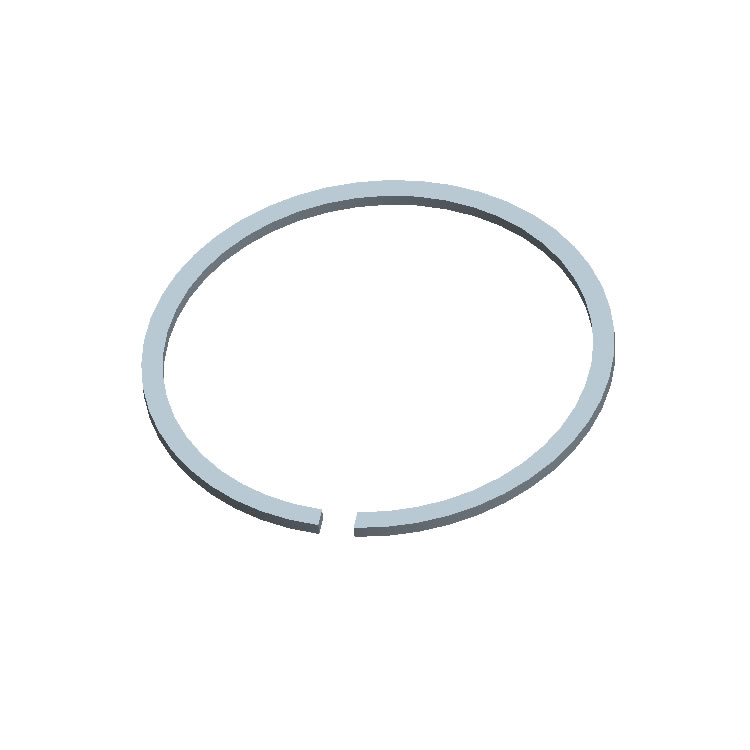 Snap Ring