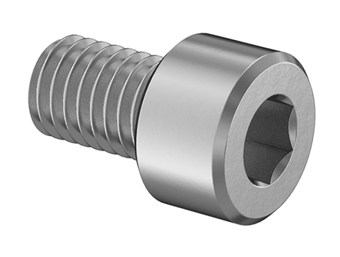 18-8 Stainless Steel Socket Head Screw, M8 x 1.25 mm Thread, 12 mm Long