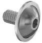 Flanged_Button_Head