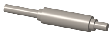 FIZ_Worm