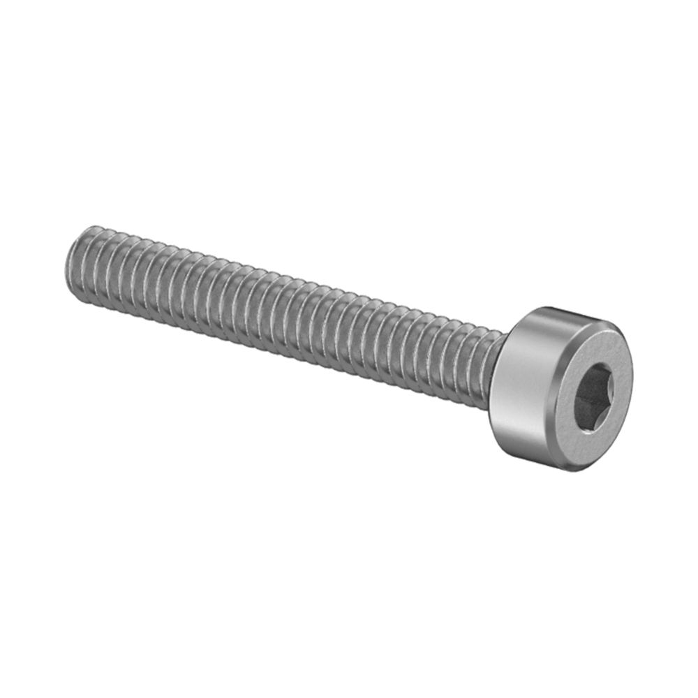 18-8 Stainless Steel Socket Head Screw M2 x 0.4 mm Thread, 14 mm Long