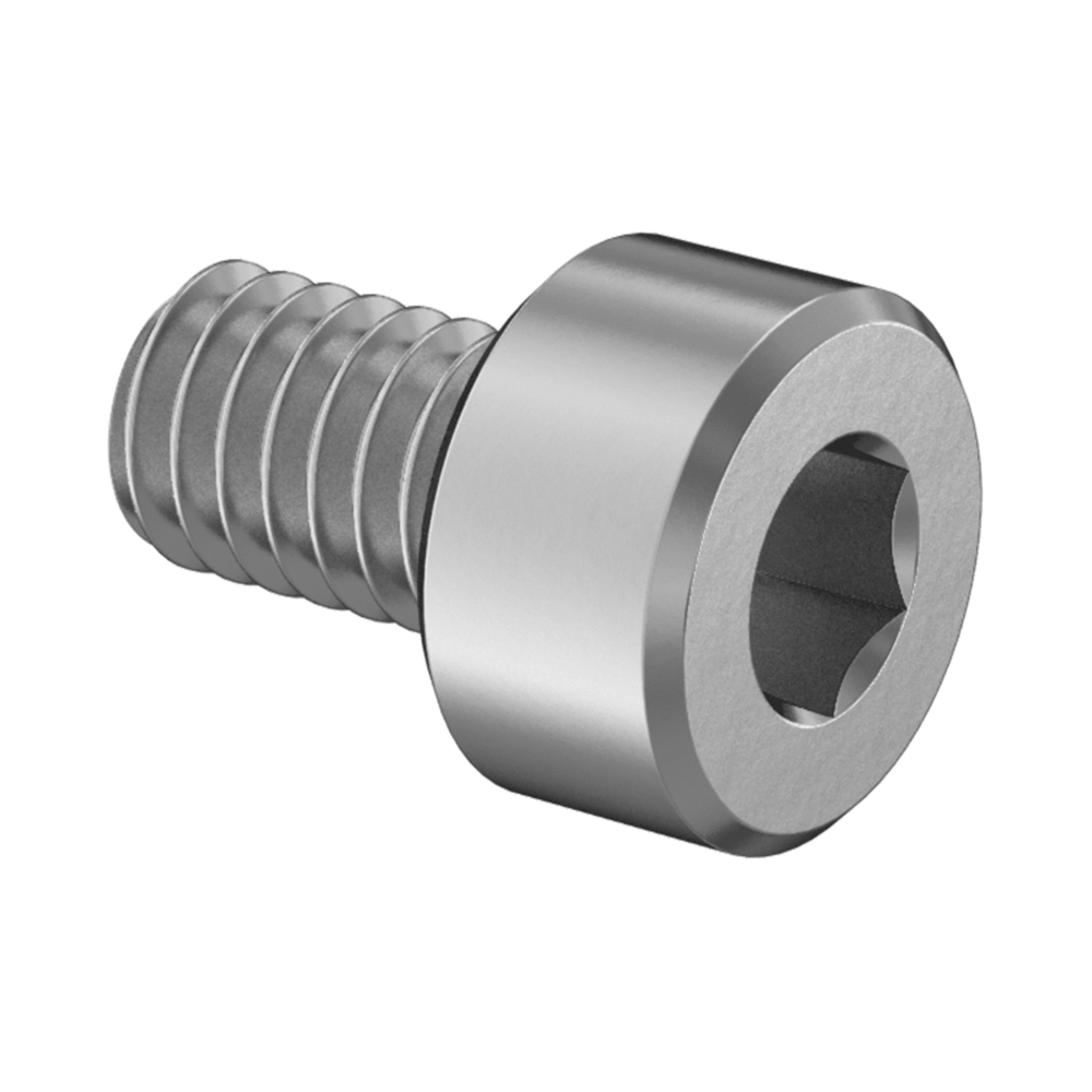 18-8 Stainless Steel Socket Head Screw M2.5 x 0.45 mm Thread, 4 mm Long