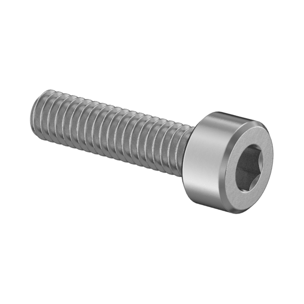 18-8 Stainless Steel Socket Head Screw M2.5 x 0.45 mm Thread, 10 mm Long